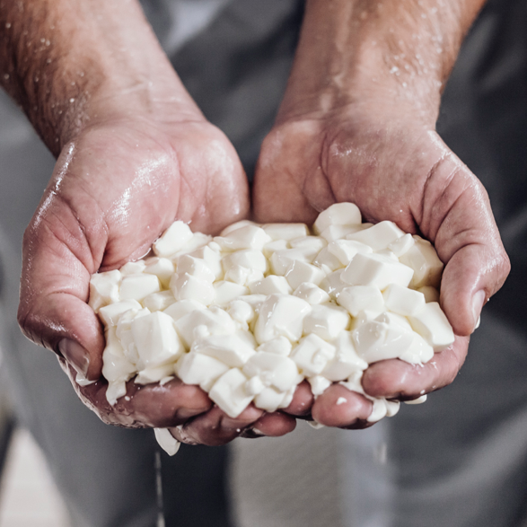 Bildmotiv für Käseherstellung